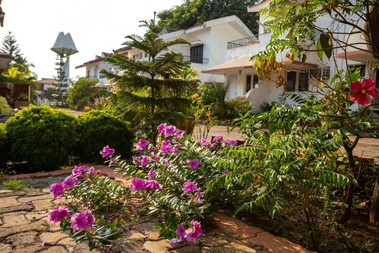Aspirealconvilla-2Bhk-Beachtouch-Candolim Exteriér fotografie